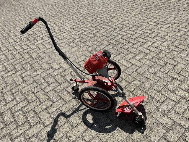 Hecht - 2020 - 155 - bosmaaier - afbeelding 1 van  8