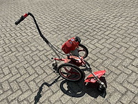 Hecht - 2020 - 155 - bosmaaier - afbeelding 1 van  8