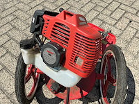 Hecht - 2020 - 155 - bosmaaier - afbeelding 2 van  8