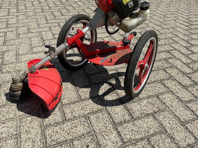 Hecht - 2020 - 155 - bosmaaier - afbeelding 6 van  8