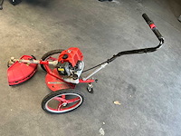 Hecht - 2020 - 155 - bosmaaier - afbeelding 8 van  8