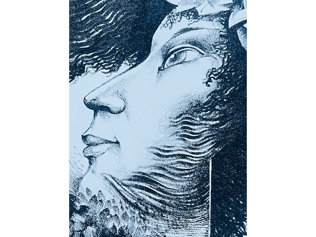 Hedwig pauwels - naakt - kleurenlithografie - afbeelding 3 van  11