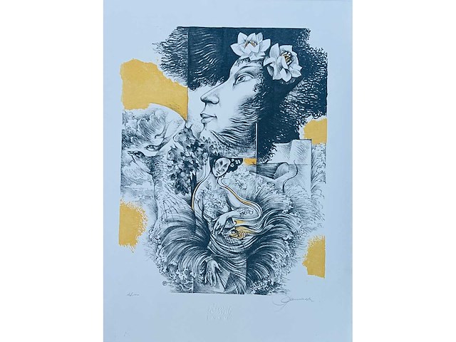 Hedwig pauwels - naakt - kleurenlithografie - afbeelding 1 van  11