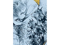 Hedwig pauwels - naakt - kleurenlithografie - afbeelding 6 van  11