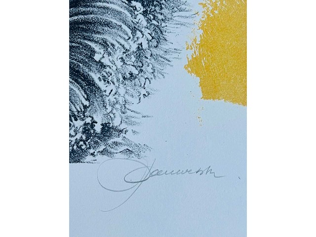Hedwig pauwels - naakt - kleurenlithografie - afbeelding 9 van  11