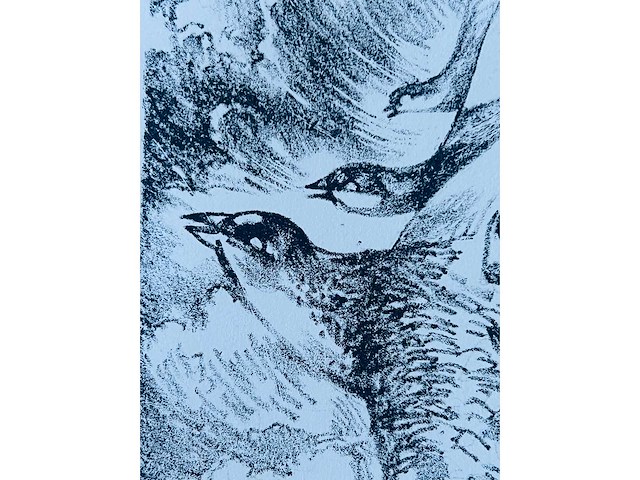 Hedwig pauwels - naakt - kleurenlithografie - afbeelding 11 van  11