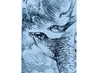Hedwig pauwels - naakt - kleurenlithografie - afbeelding 11 van  11