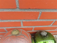 Heksenballen - afbeelding 2 van  3