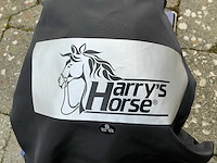 Helm s 53-55 ruiter paarden - afbeelding 3 van  5