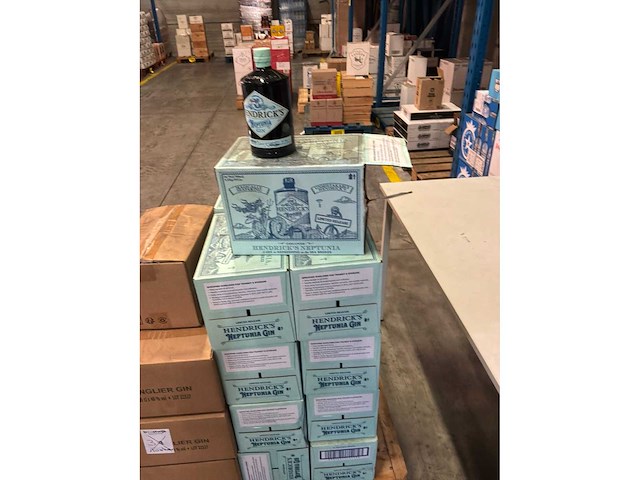Hendrick’s neptuna gin (24x) - afbeelding 1 van  1