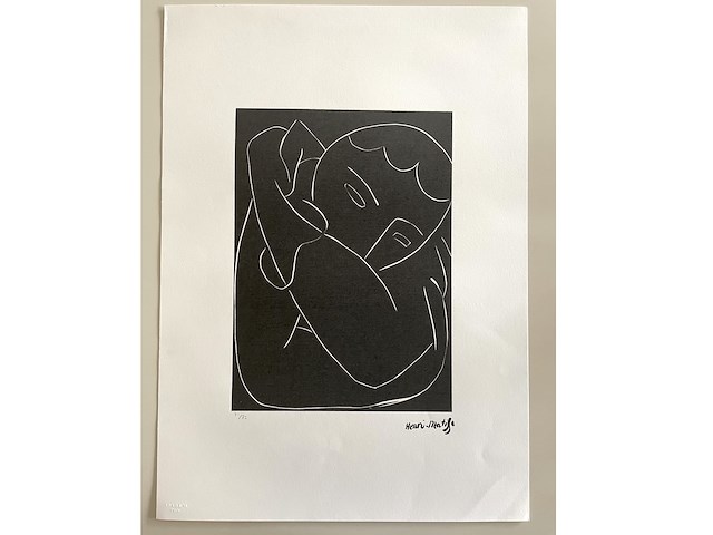 Henri matisse - afbeelding 1 van  4