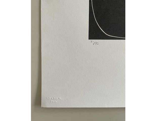 Henri matisse - afbeelding 3 van  4