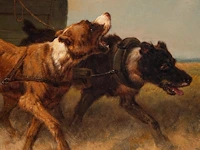 Henriette ronner (1821-1909), boy on a dog chariot, oil on canvas 44.5 x 56.5 cm. (17.51 x 22.23 in.), frame: 61 x 72 cm. (24.01 x 28.35 in.) - afbeelding 6 van  14