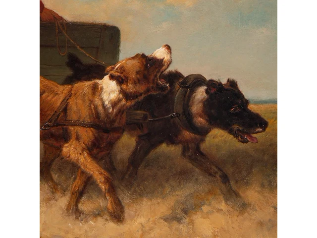 Henriette ronner (1821-1909), boy on a dog chariot, oil on canvas 44.5 x 56.5 cm. (17.51 x 22.23 in.), frame: 61 x 72 cm. (24.01 x 28.35 in.) - afbeelding 12 van  14