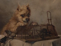 Henriette ronner-knip (1821-1909), dog and a trapped rat, 1870, watercolour on paper 38 x 49 cm. (14.96 x 19.28 in.), frame: 57 x 67 cm. (22.44 x 26.37 in.)