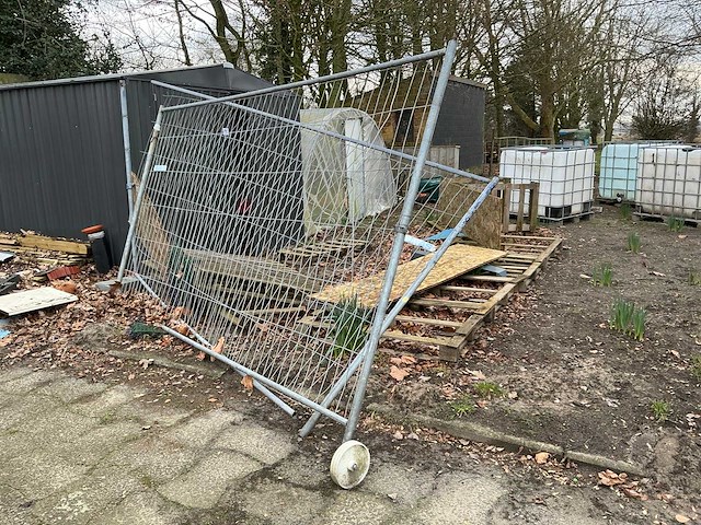 Herashekken (4x) - afbeelding 1 van  5