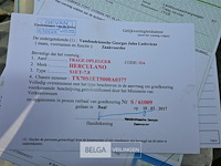 Herculano aanhangwagen - afbeelding 9 van  15