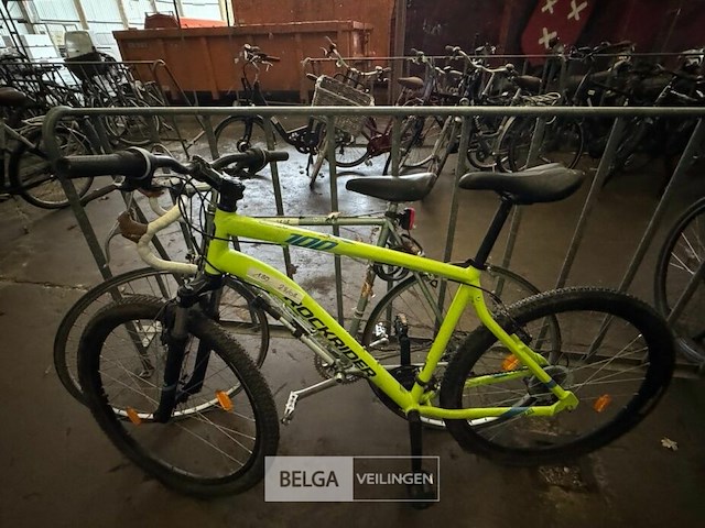 Heren mountainbike - afbeelding 1 van  1