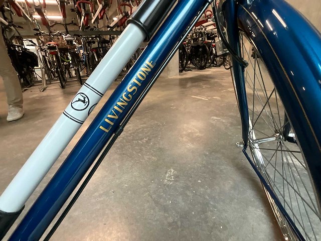 Herenfiets livingstone - afbeelding 11 van  37