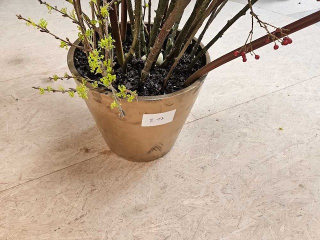 Herfstbloemstuk in pot - afbeelding 2 van  2