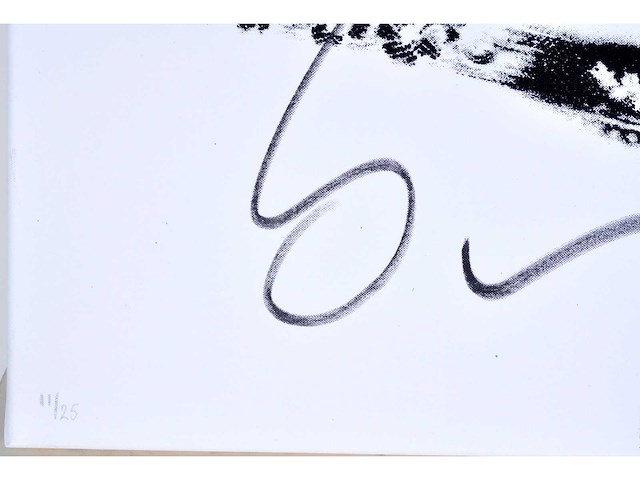 Herman brood - hips - zeefdruk op doek - afbeelding 3 van  6