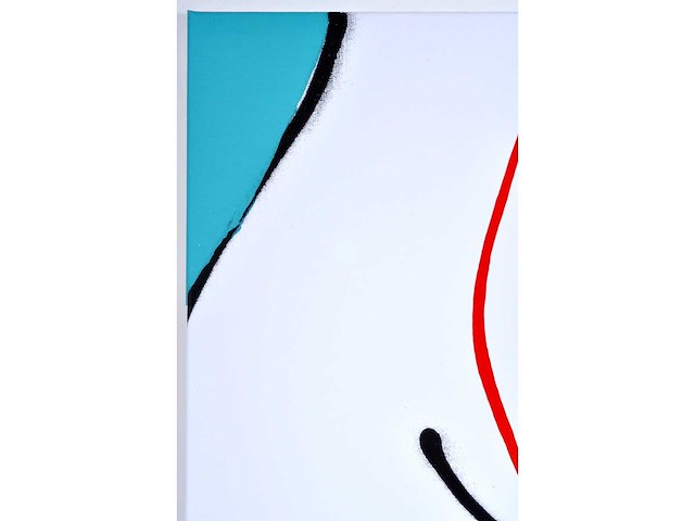 Herman brood - hips - zeefdruk op doek - afbeelding 6 van  6