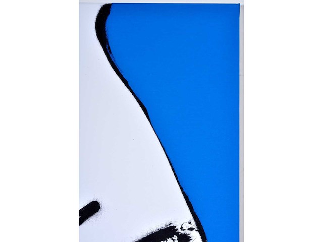 Herman brood - hips - zeefdruk op doek - afbeelding 6 van  8