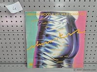 Herman brood - afbeelding 2 van  2