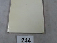 Het blauwe vuur leesboek - afbeelding 3 van  3