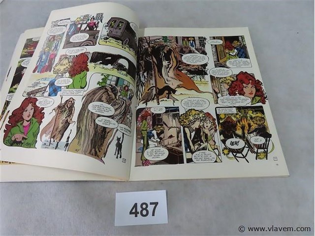 Het kasteel van de vleermuis - afbeelding 2 van  3