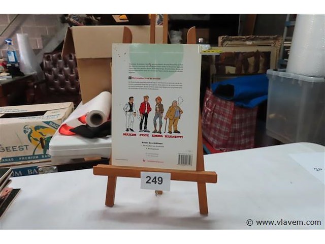 Het masker van de wereld - afbeelding 2 van  2