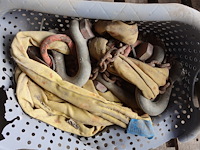 Hijsmateriaal - afbeelding 6 van  9