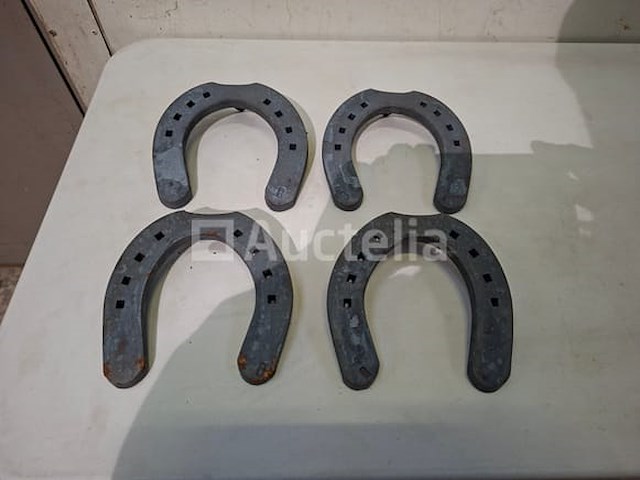 Hoefijzers - afbeelding 5 van  8