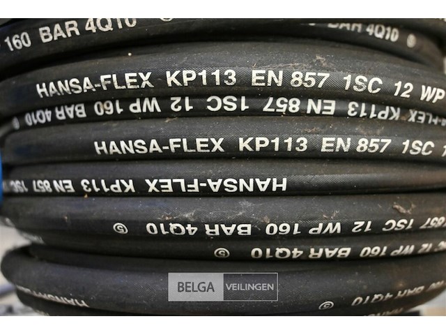 Hogedrukhaspel met lans - afbeelding 5 van  6