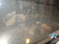 Holografische sfeerschouw - afbeelding 7 van  8