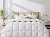Homyrium donzen dekbed (135 x 200 cm) - afbeelding 1 van  3