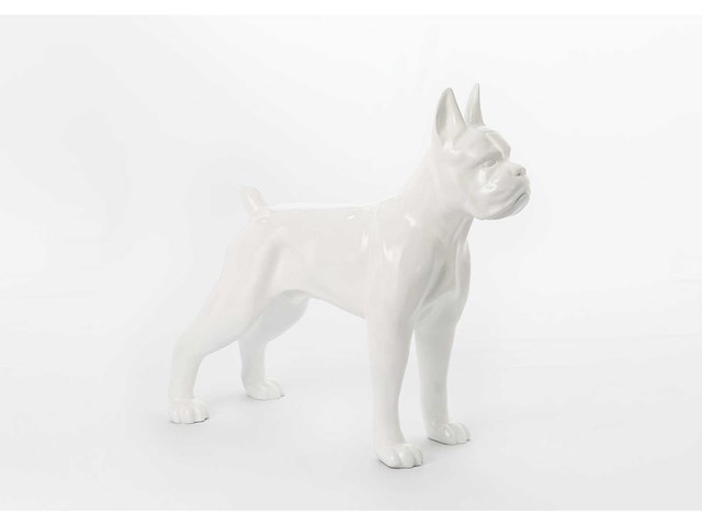 Hond boxer - tuinbeeld - wit - afbeelding 1 van  5