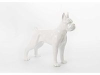 Hond boxer - tuinbeeld - wit