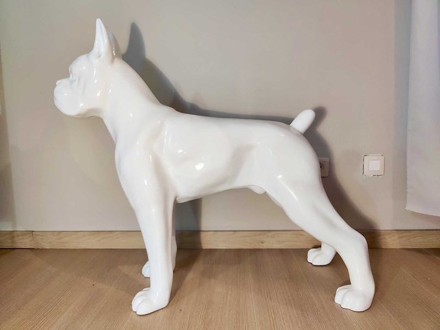 Hond boxer - tuinbeeld - wit - afbeelding 5 van  5