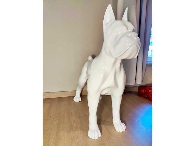 Hond boxer - tuinbeeld - wit - afbeelding 2 van  5