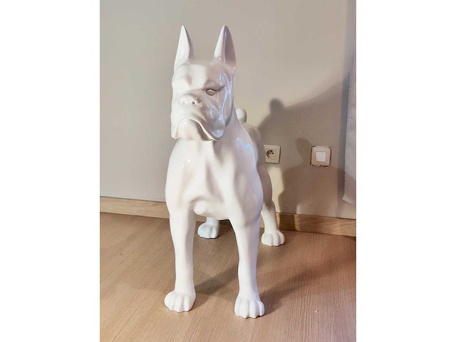 Hond boxer - tuinbeeld - wit - afbeelding 3 van  5