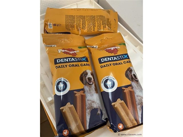 Hond - afbeelding 1 van  1