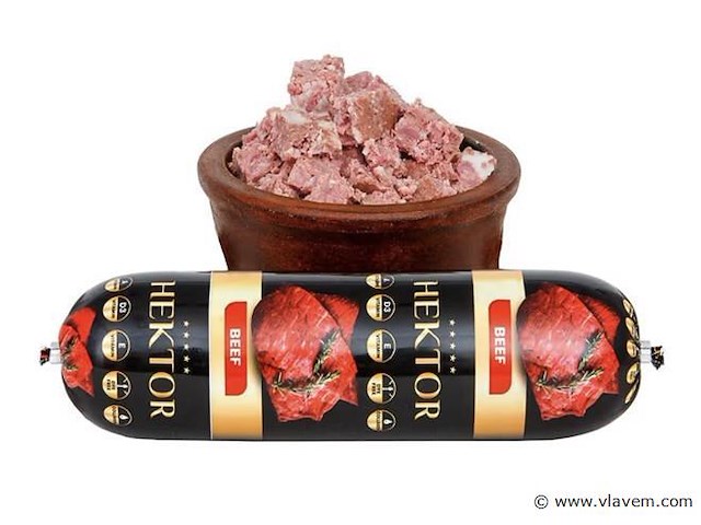 Hond - afbeelding 1 van  1