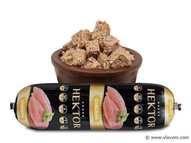 Hond - afbeelding 1 van  1