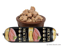 Hond - afbeelding 1 van  1