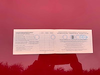 Honda civic personenauto - afbeelding 3 van  12