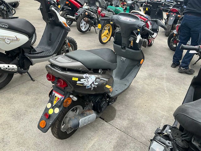 Honda sfx 50 w scooter - afbeelding 3 van  7