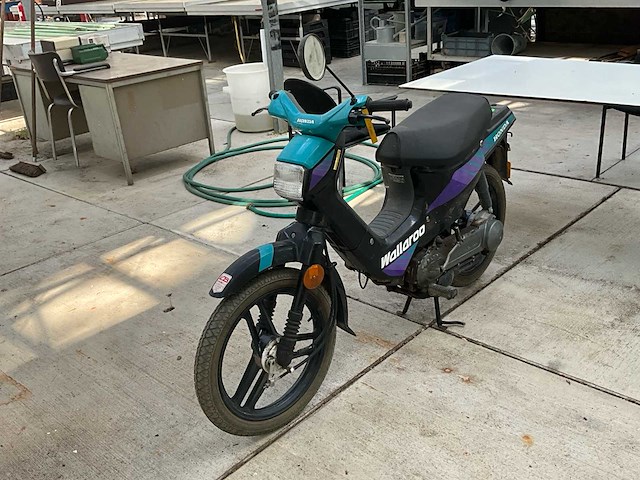 Honda wallaroo snorfiets - afbeelding 1 van  8