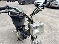 Honda wallaroo - afbeelding 5 van  5