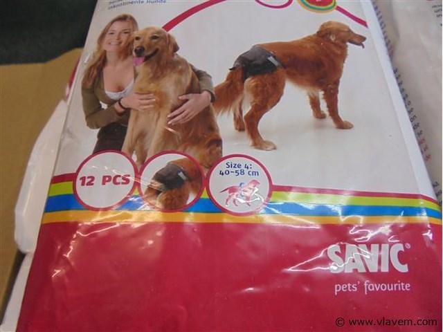 Honden - afbeelding 2 van  2